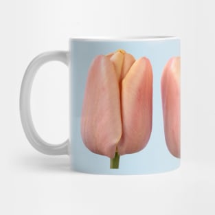 Tulipa &#39;La Belle epoque&#39;  Double Early Tulip Mug